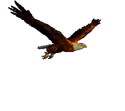 Green Eagle