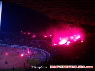 Green Boys Ultras Danger..